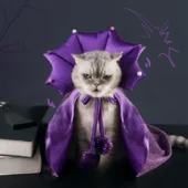 Halloween Pet Clothes Cat Dog Magic Cloak Festival Outfit Vampire Purple Cape Cosplay Costume Pet Supplies